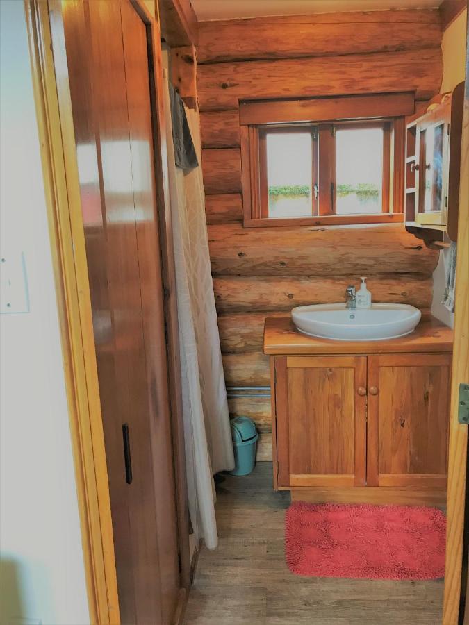 Tree Hut Cottage Masterton Kültér fotó