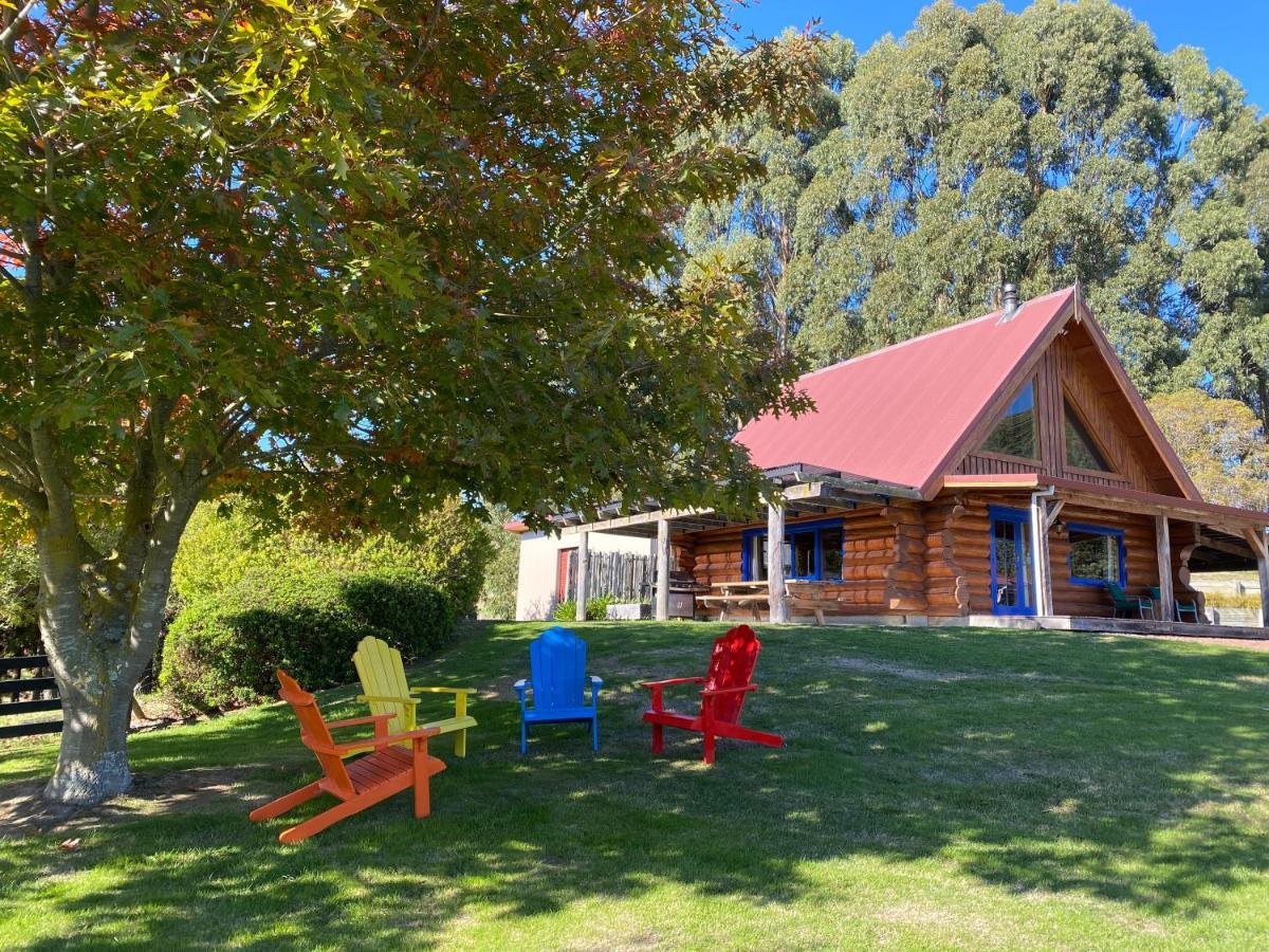Tree Hut Cottage Masterton Kültér fotó