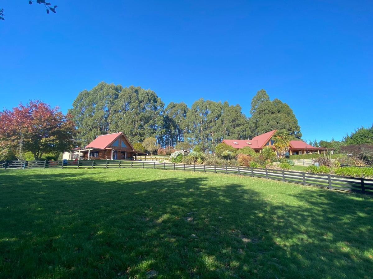 Tree Hut Cottage Masterton Kültér fotó
