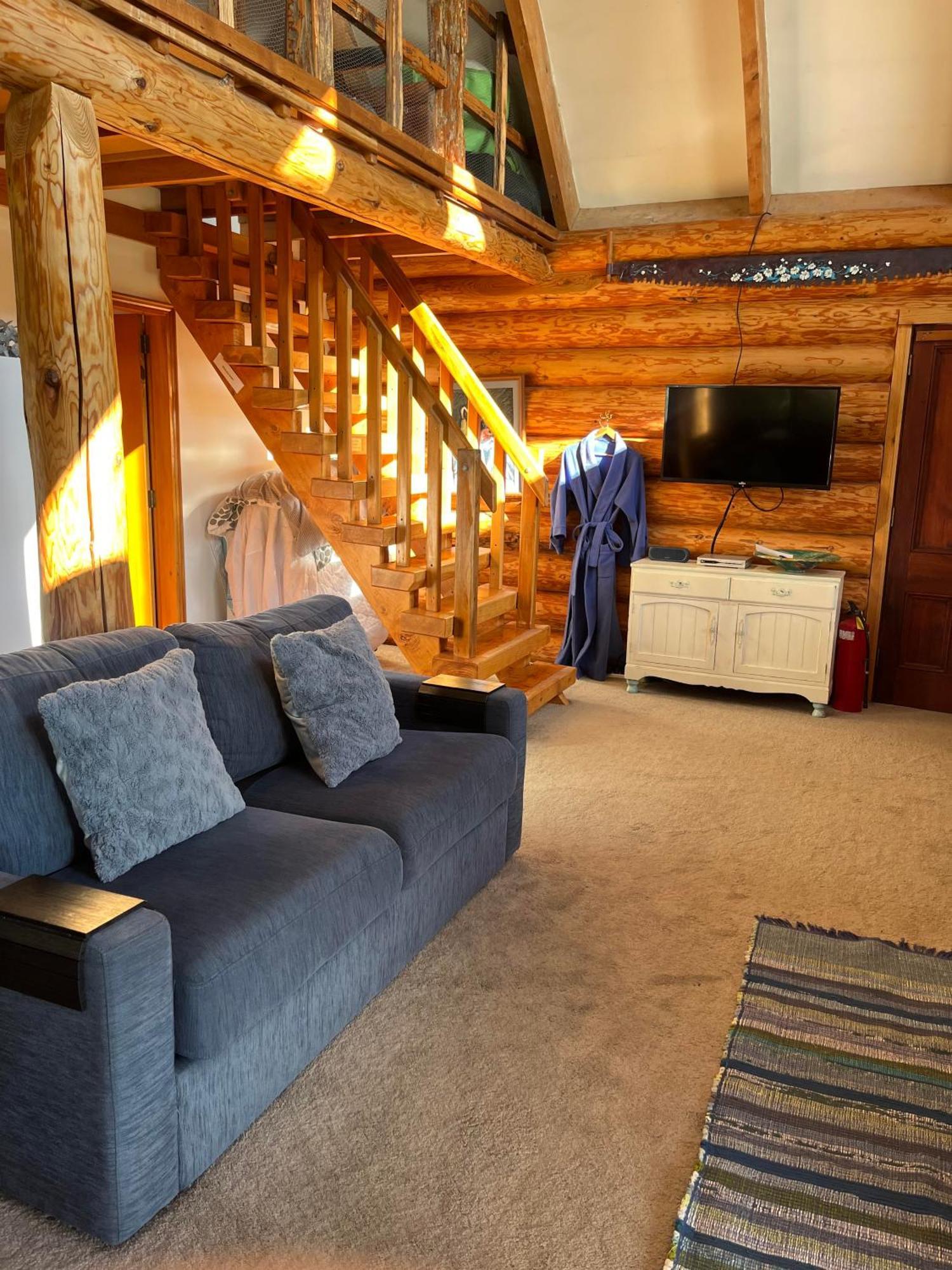 Tree Hut Cottage Masterton Kültér fotó